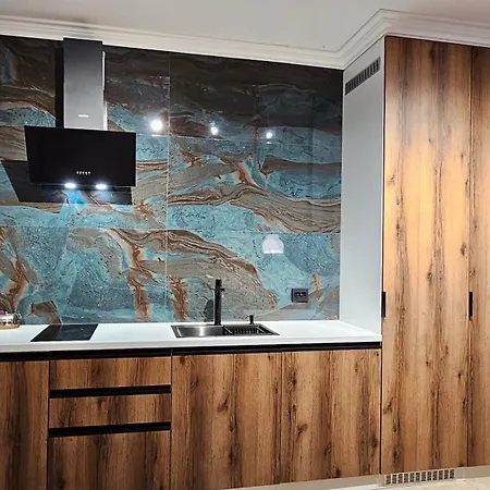 Carpathian View Green Apartment * 무카체베