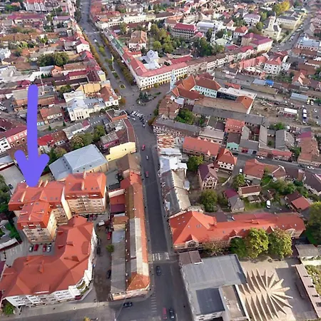 Carpathian View Apartamento